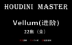Houdini-Vellum【布料进阶-大师课】画质超清