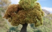 Speedtree电影级英雄树植物案例制作全流程教学【画质高清有部分素材】