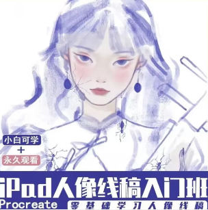 【缺课较多】不锈钢盆ipad人像线稿入门班【画质还行只有视频】-课神