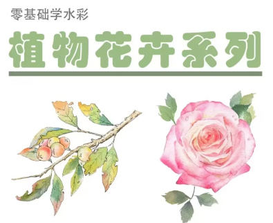 【缺课】吴小迪水彩植物花卉美食系统课2022【画质高清只有视频】-课神