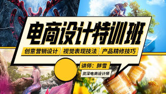 胖雪电商设计速成班【画质不错有大部分素材】-北少网创