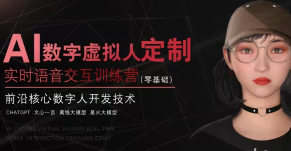 火星一郎AI虚拟数字人（智能体）UE5实时语音交互教程【画质高清有素材】-北少网创