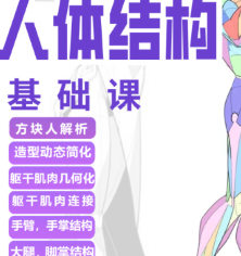 大木人体结构基础课第13期【画质高清有课件】-北少网创